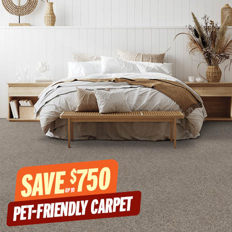 Pet-Friendly Carpet