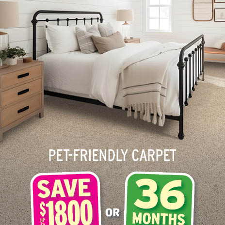 Save on pet-friendly carpet