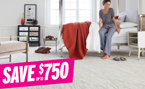 Save on Carpet